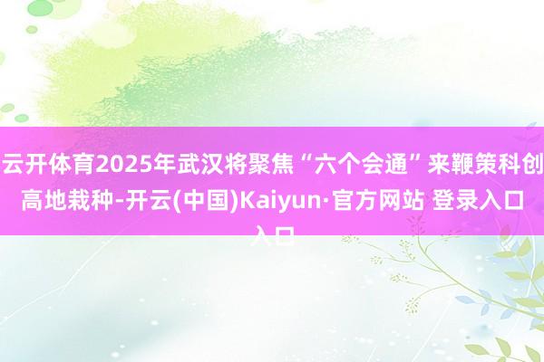 云开体育2025年武汉将聚焦“六个会通”来鞭策科创高地栽种-开云(中国)Kaiyun·官方网站 登录入口