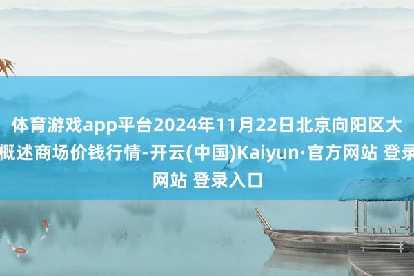 体育游戏app平台2024年11月22日北京向阳区大洋路概述商场价钱行情-开云(中国)Kaiyun·官方网站 登录入口