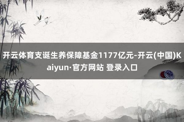 开云体育支诞生养保障基金1177亿元-开云(中国)Kaiyun·官方网站 登录入口