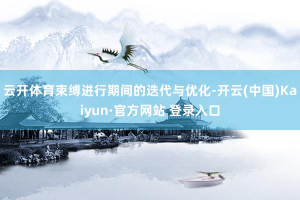 云开体育束缚进行期间的迭代与优化-开云(中国)Kaiyun·官方网站 登录入口