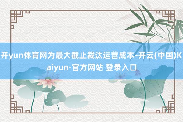 开yun体育网为最大截止裁汰运营成本-开云(中国)Kaiyun·官方网站 登录入口