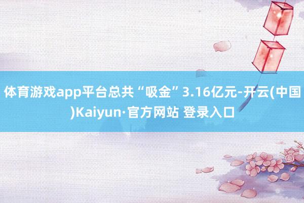 体育游戏app平台总共“吸金”3.16亿元-开云(中国)Kaiyun·官方网站 登录入口