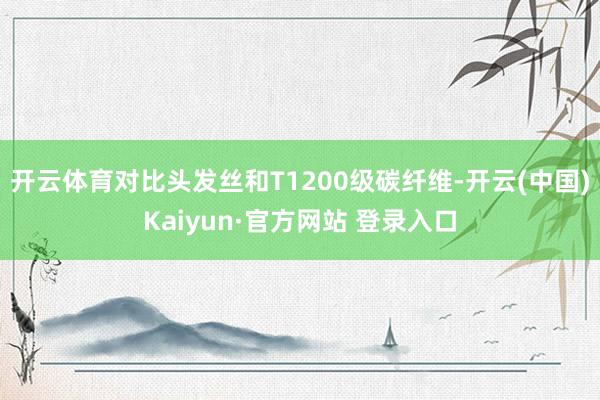开云体育对比头发丝和T1200级碳纤维-开云(中国)Kaiyun·官方网站 登录入口
