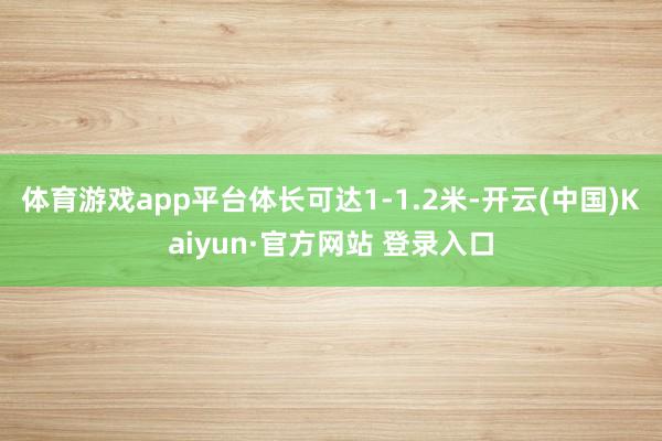 体育游戏app平台体长可达1-1.2米-开云(中国)Kaiyun·官方网站 登录入口